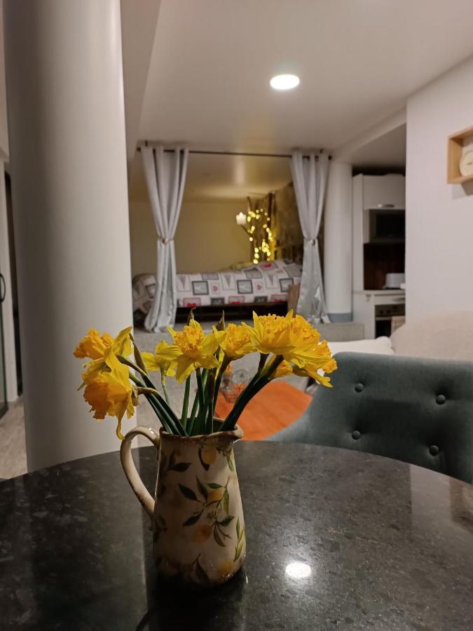 Cabana De Pe Stanca Колибица Экстерьер фото