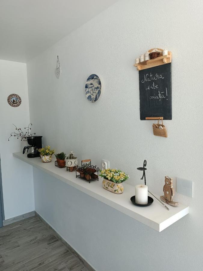 Cabana De Pe Stanca Колибица Экстерьер фото